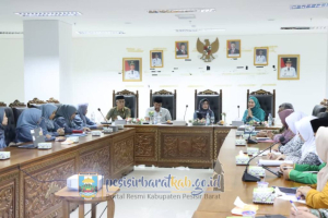 Audiensi BKKBN Lampung, Bupati Dedi Irawan Komitmen Turunkan Stunting di Pesisir Barat