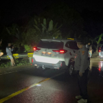 Banjir Menggenangi Pemukiman Warga Pekon Pemerihan, Pesisir Barat, Akibat Curah Hujan Tinggi