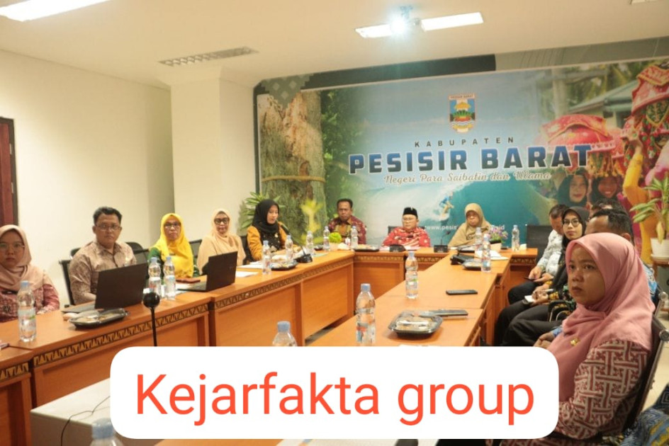 Rapat Bersama Kemenkes RI, Wakil Bupati Pesisir Barat Dorong Pemenuhan SDMK RS PHTC