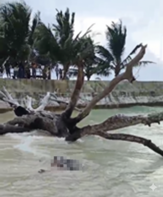 Warga Pesisir Barat Geger, Mayat Tanpa Kepala dan Kaki Ditemukan di Pantai Lentera