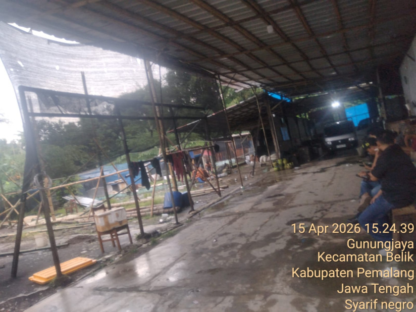 Dugaan Pengolahan Usus Ayam Berformalin di Pemalang, Media Temukan Gudang Tanpa Izin dan Pembuangan Limbah ke Sungai