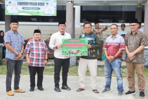 Wujud Kepedulian Pemkab Pesisir Barat, Dedi Irawan Serahkan Hewan Qurban untuk Masyarakat